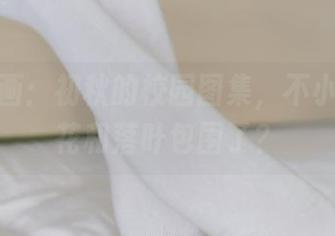 兔玩映画：初秋的校园图集，不小心被鲜花和落叶包围了？