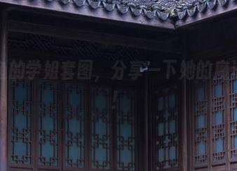 矢量鱼的学姐套图，分享一下她的魔法课程！
